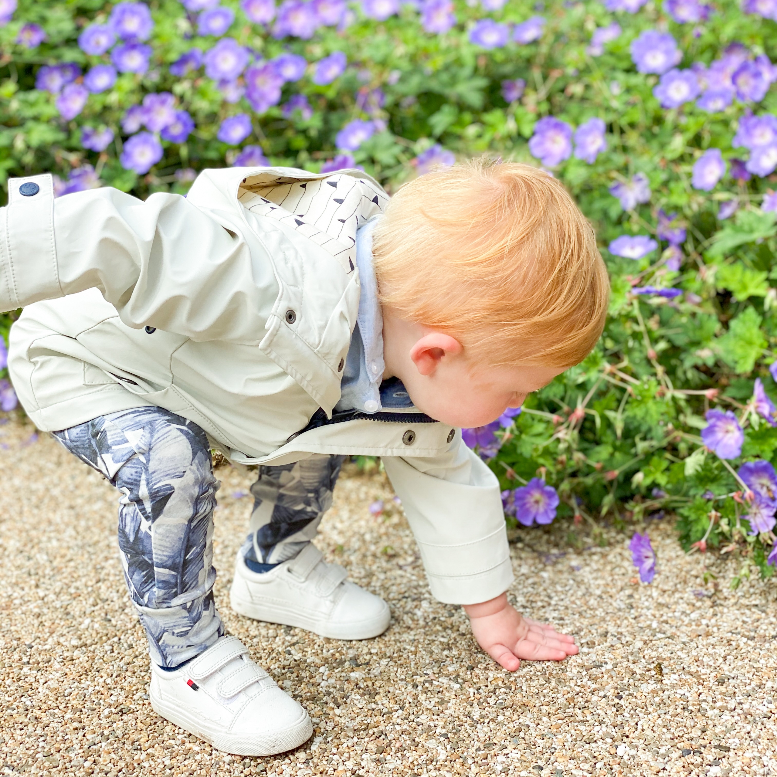 3C5C3445-C50E-4A32-AD25-DDB33B09F426