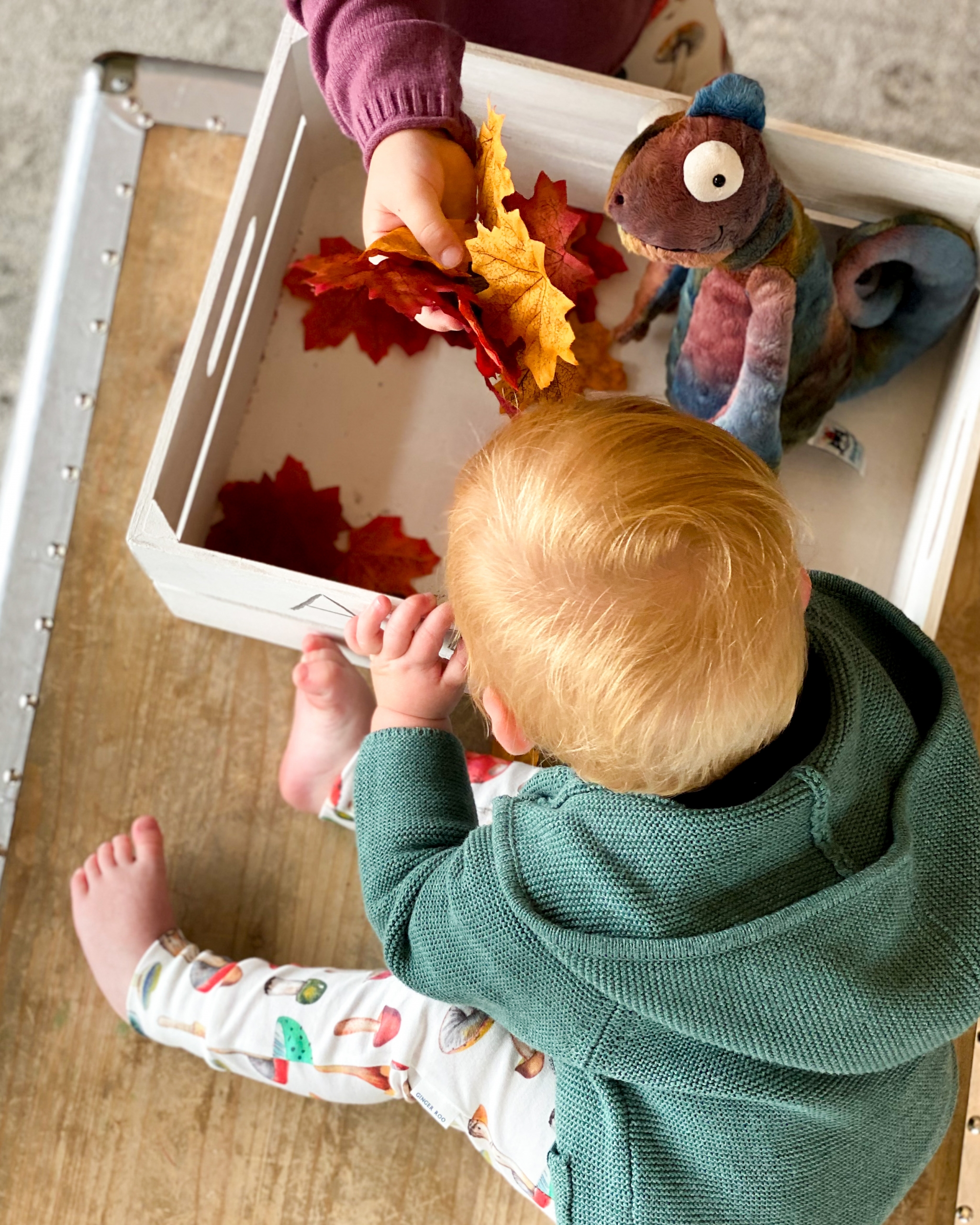 AA621B11-A648-4E5C-BB28-3243F8C84531