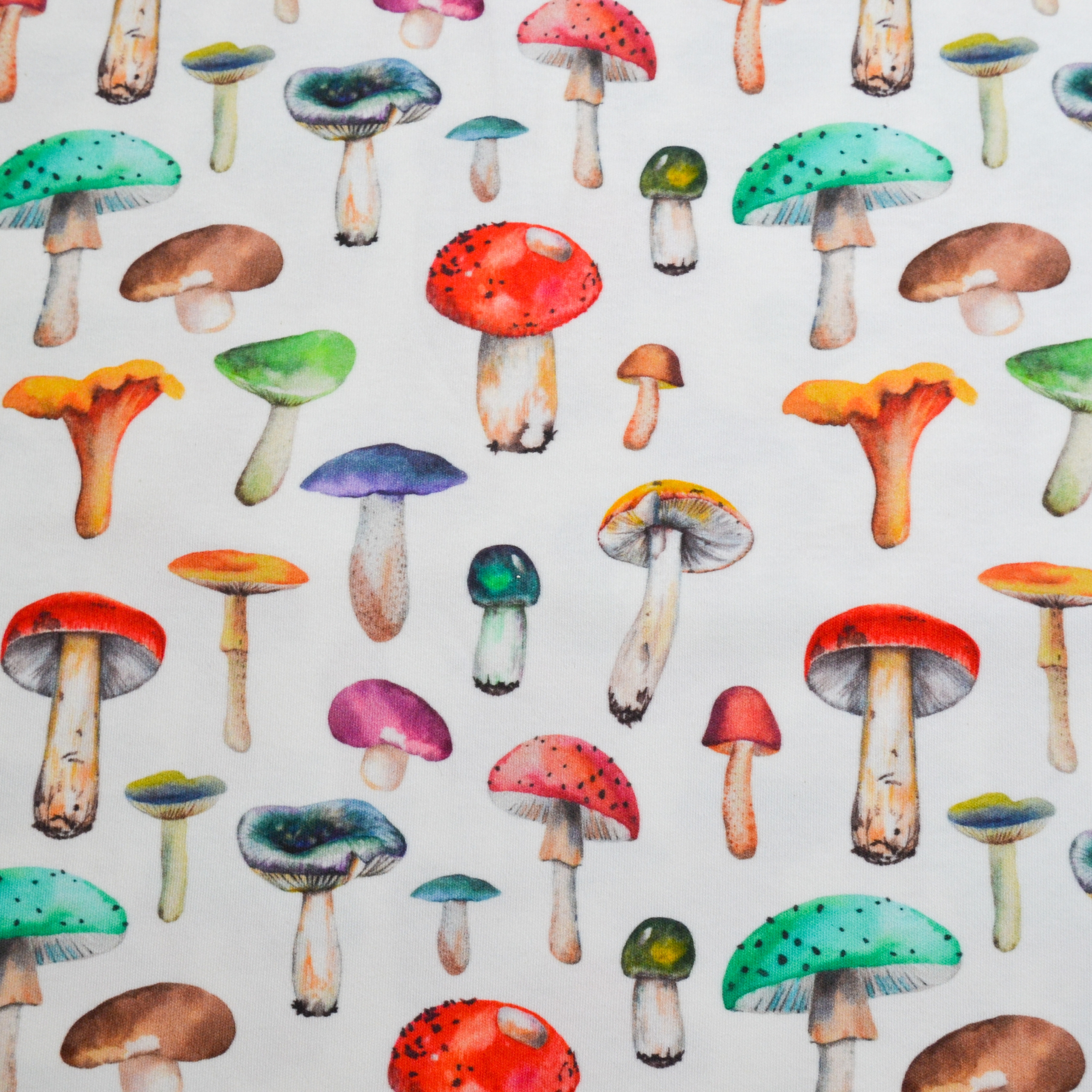 E8FC46C3-4696-426C-A39D-06E1DDA788B0