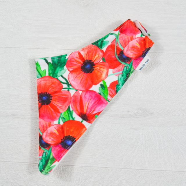 1B3D4C28-65E1-42FD-8C8B-181575C0DFCB