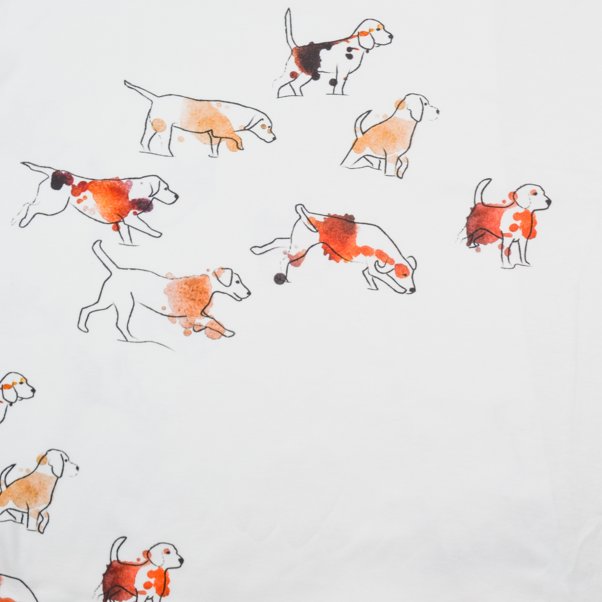 3934D254-B1ED-493E-B345-ABA985F903F9