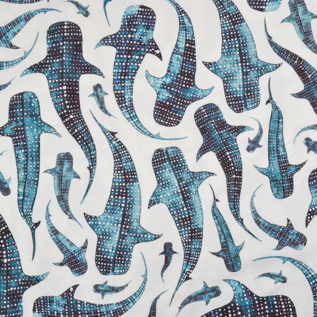 58B1D8E6-EC58-4E4B-89B5-B3B0D34E8246