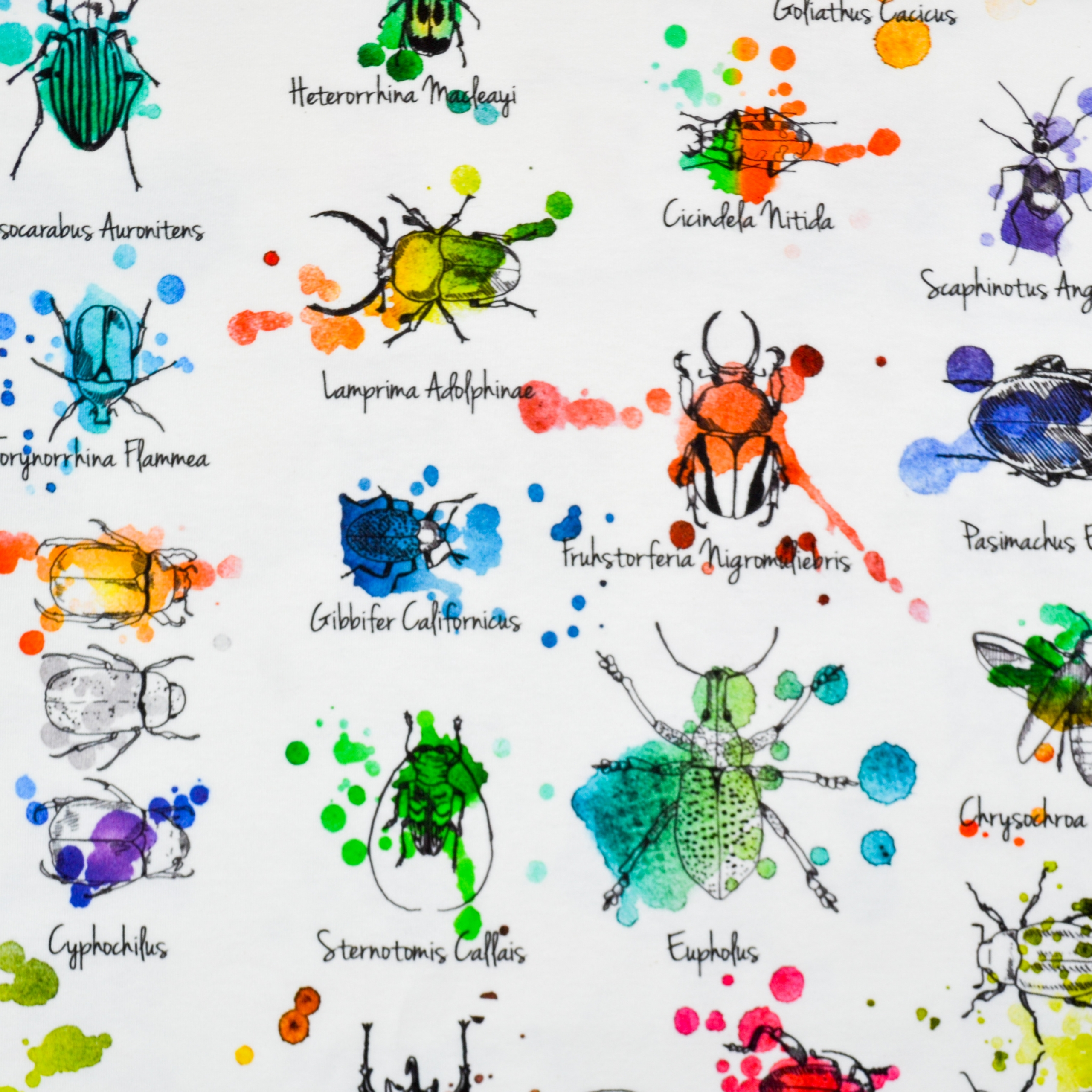 CBB89120-806D-4884-8B83-A367BB1F6FEC