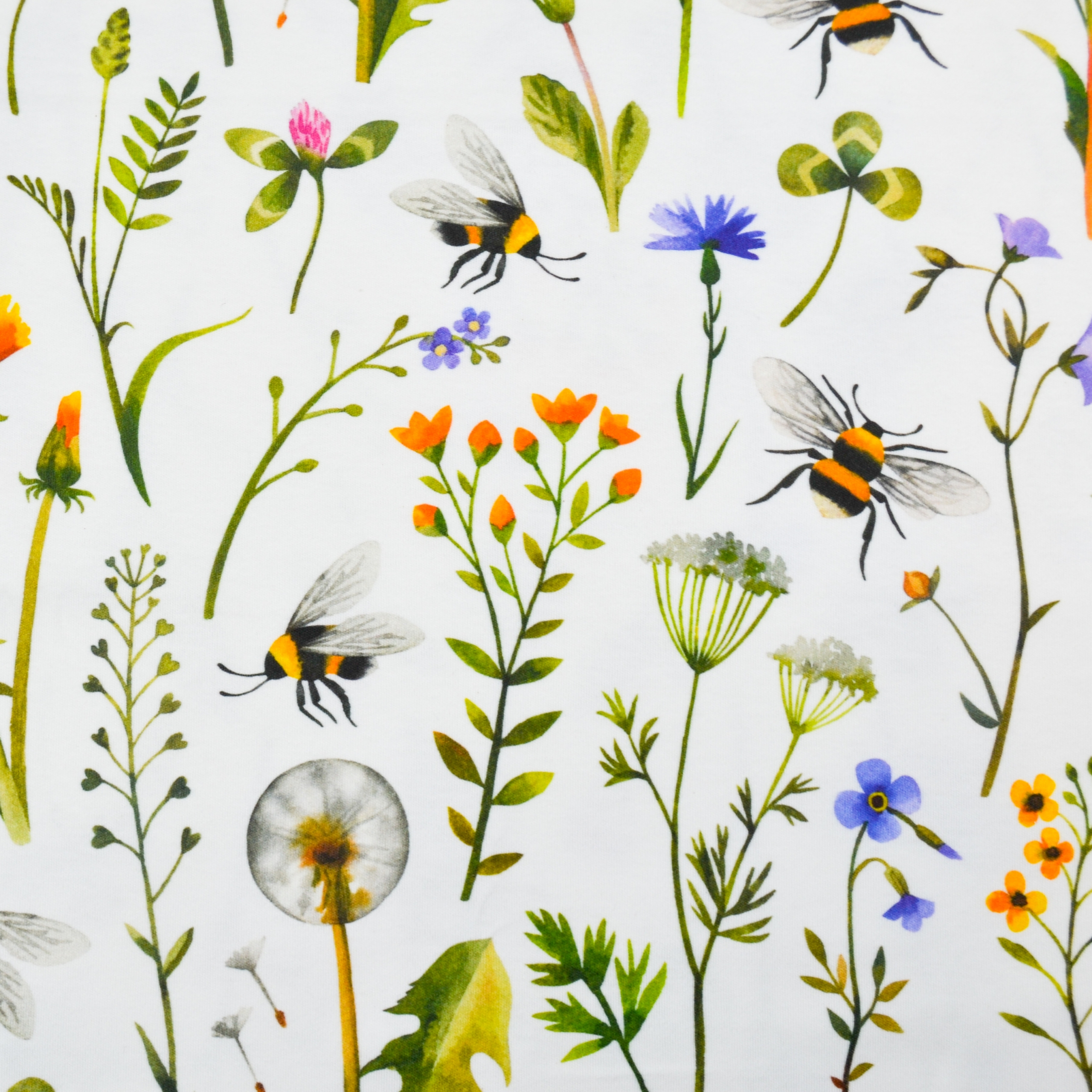 CE905074-4B65-496B-9A48-A36F0C10881B