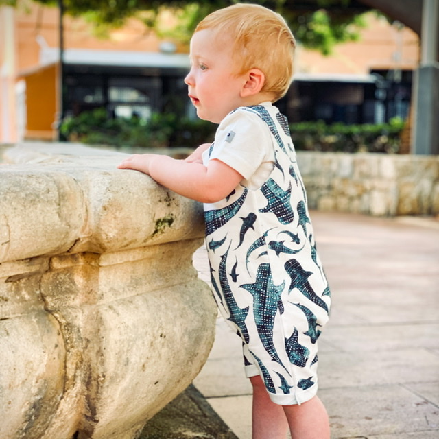 6C70FC76-DF99-460D-8387-A3A52AFC6E20