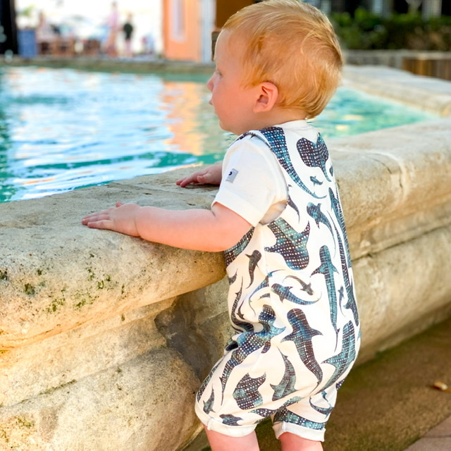 CD442725-E6A1-44DC-9A03-F8F51A822AAD