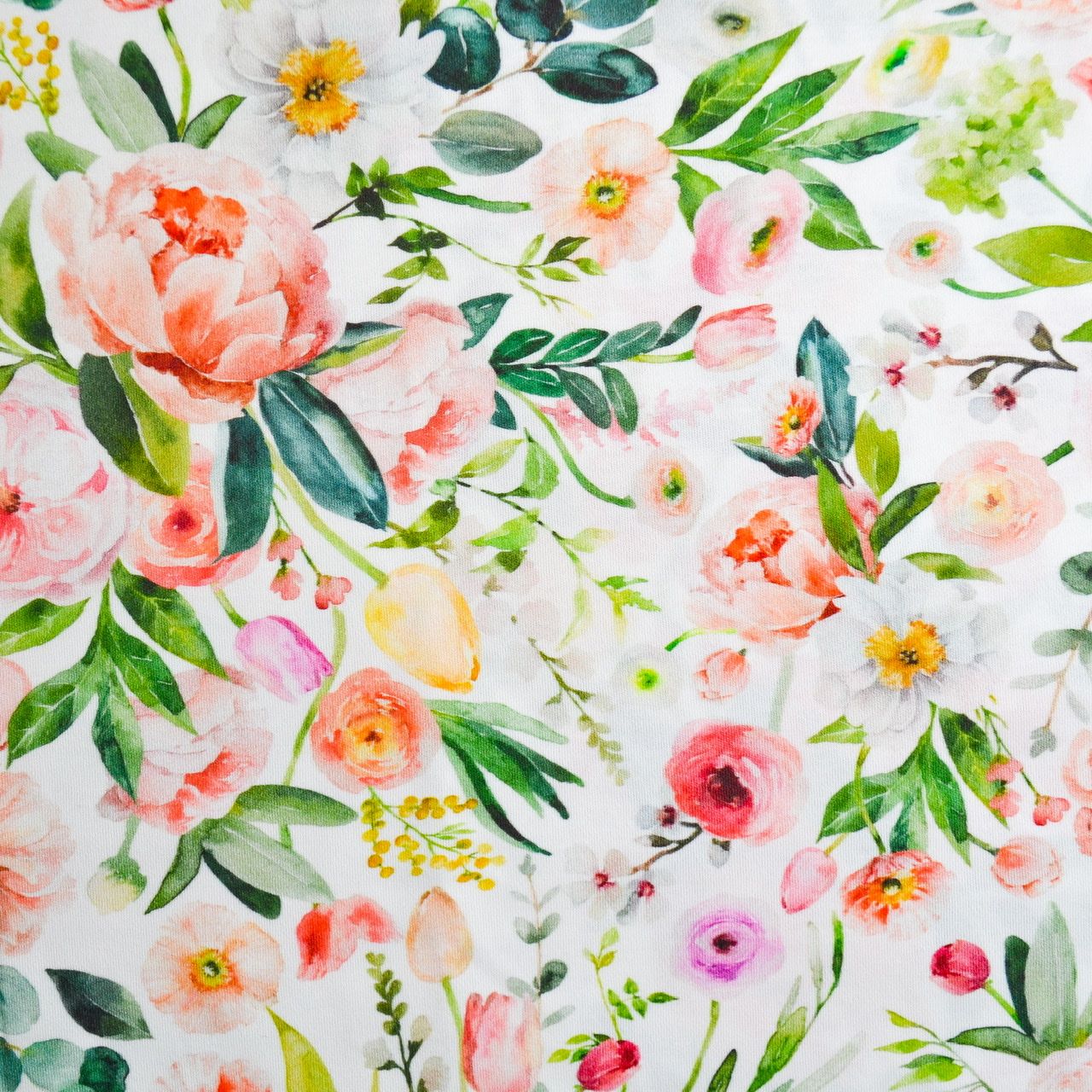 277BEFA6-4098-4F32-8AF7-B729C3130878