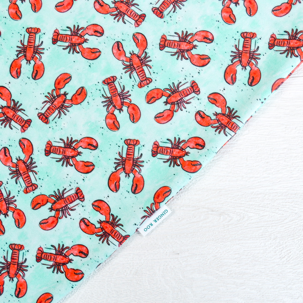 A8318884-F895-44BF-9F5E-23884C9E91BD