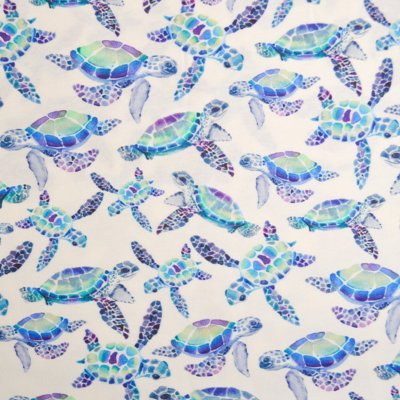 B7D7435F-4692-4DBD-AC81-D18A04C0A2F4