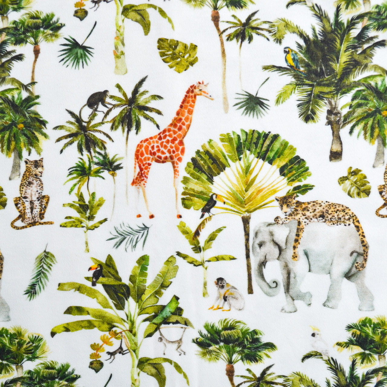 C8C16324-29F3-49F4-8F71-CD2F8D5AB171